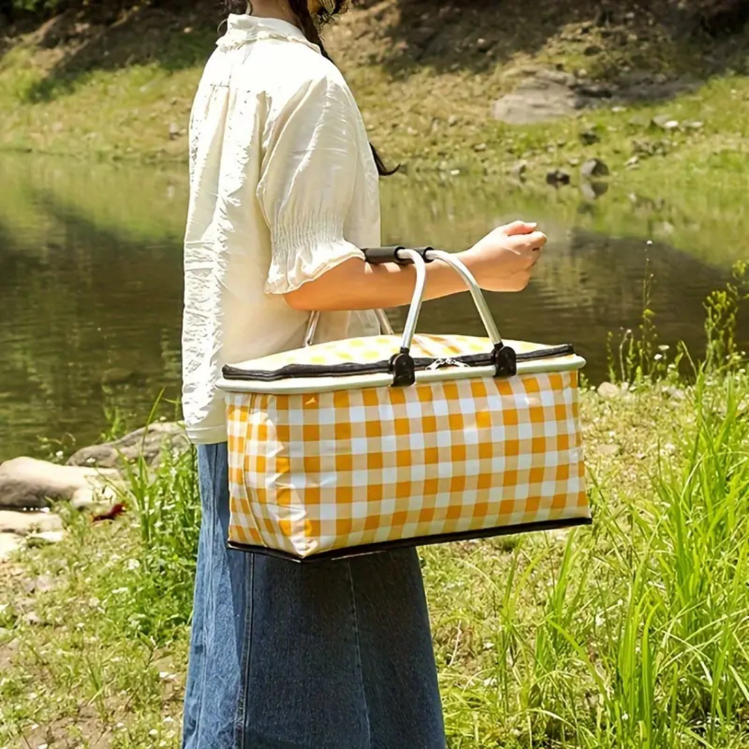 Homero Multi-Purpose Insulated Foldable Picnic Basket with Aluminum Frame