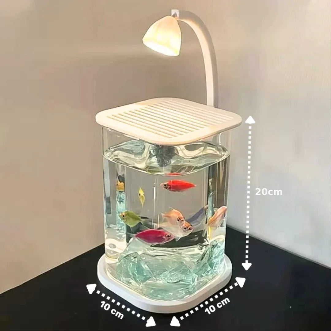 Homero Multi-Functional Ice Crystal Desktop Aquarium Setup with Lamp