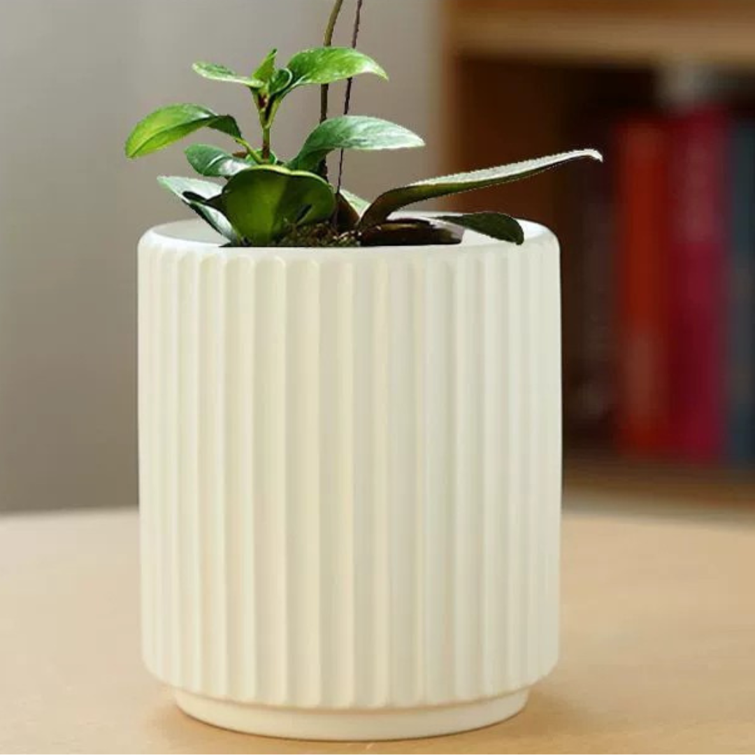 HOMERO Elegant Indoor Outdoor Ceramic Decorative Planter