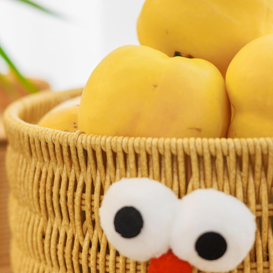 Homero Decorative Multiuse Woven Storage Basket