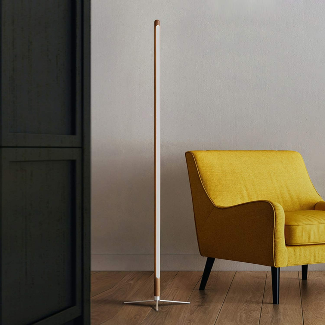 HOMERO Elegant LED Floor Remote Control Standing Dimmable Light