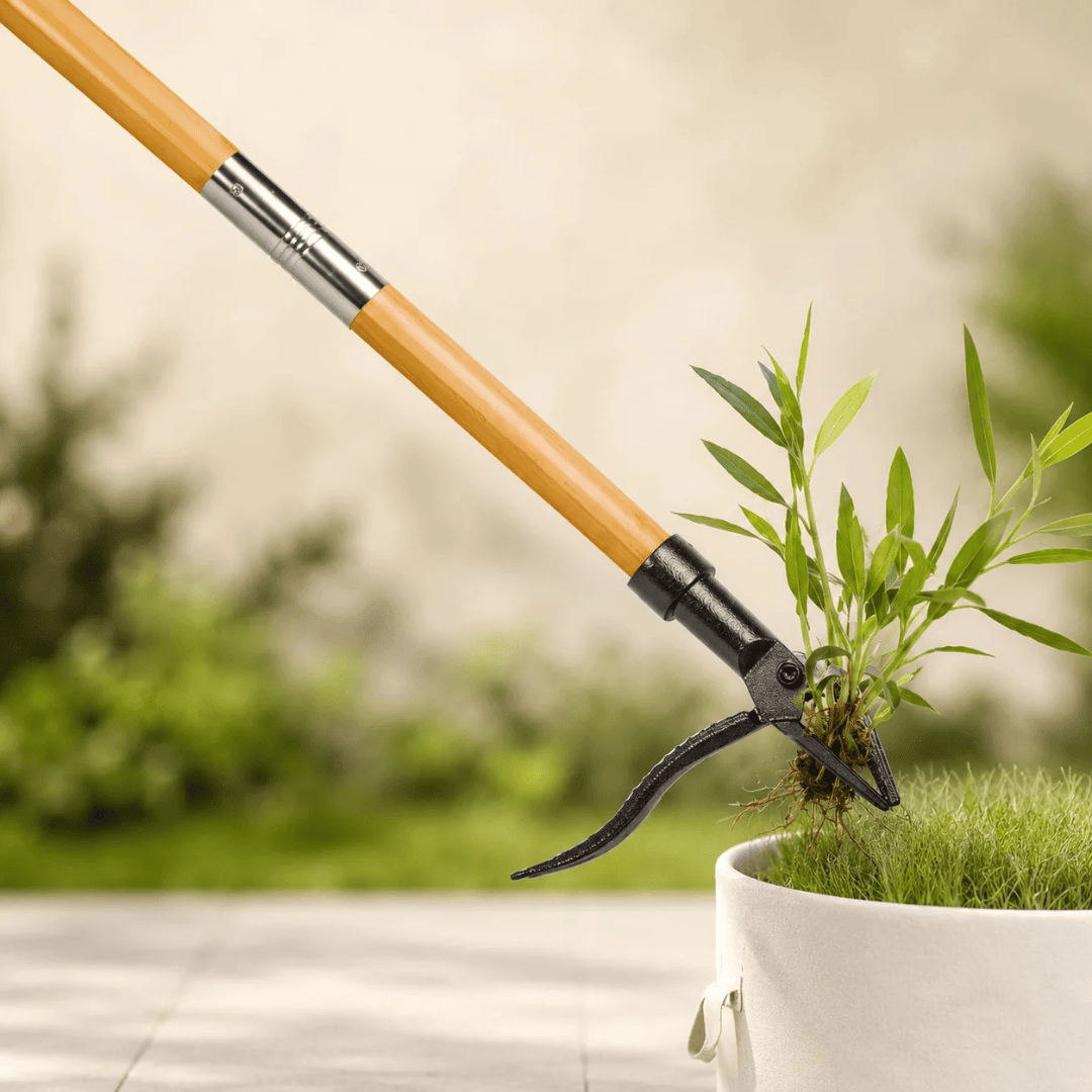 HOMERO Long Handle Steel Weeding Tool with Efficient 4-Claw Design
