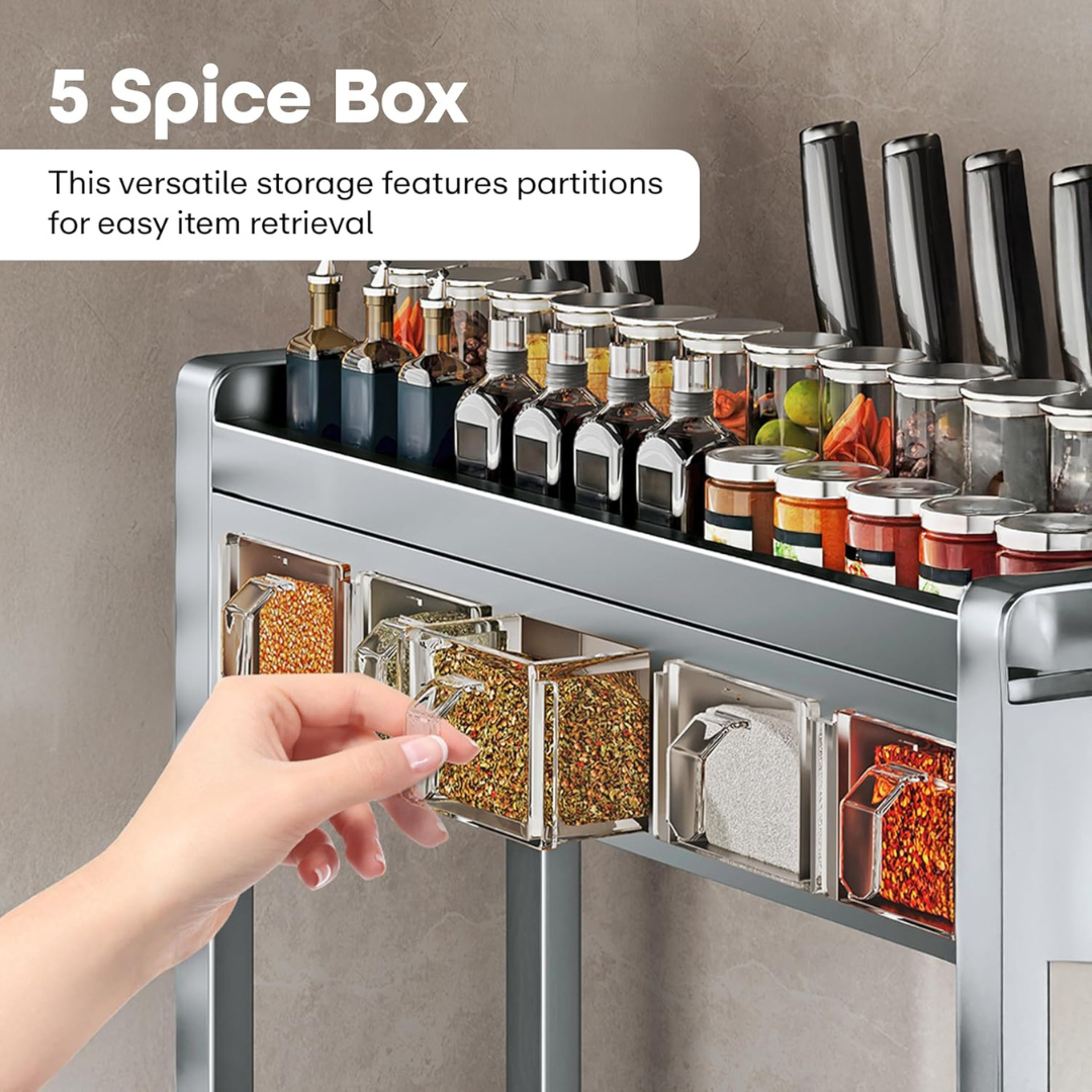 Homero Two Layer Multi-Purpose Metal Countertop Spice Storage Rack