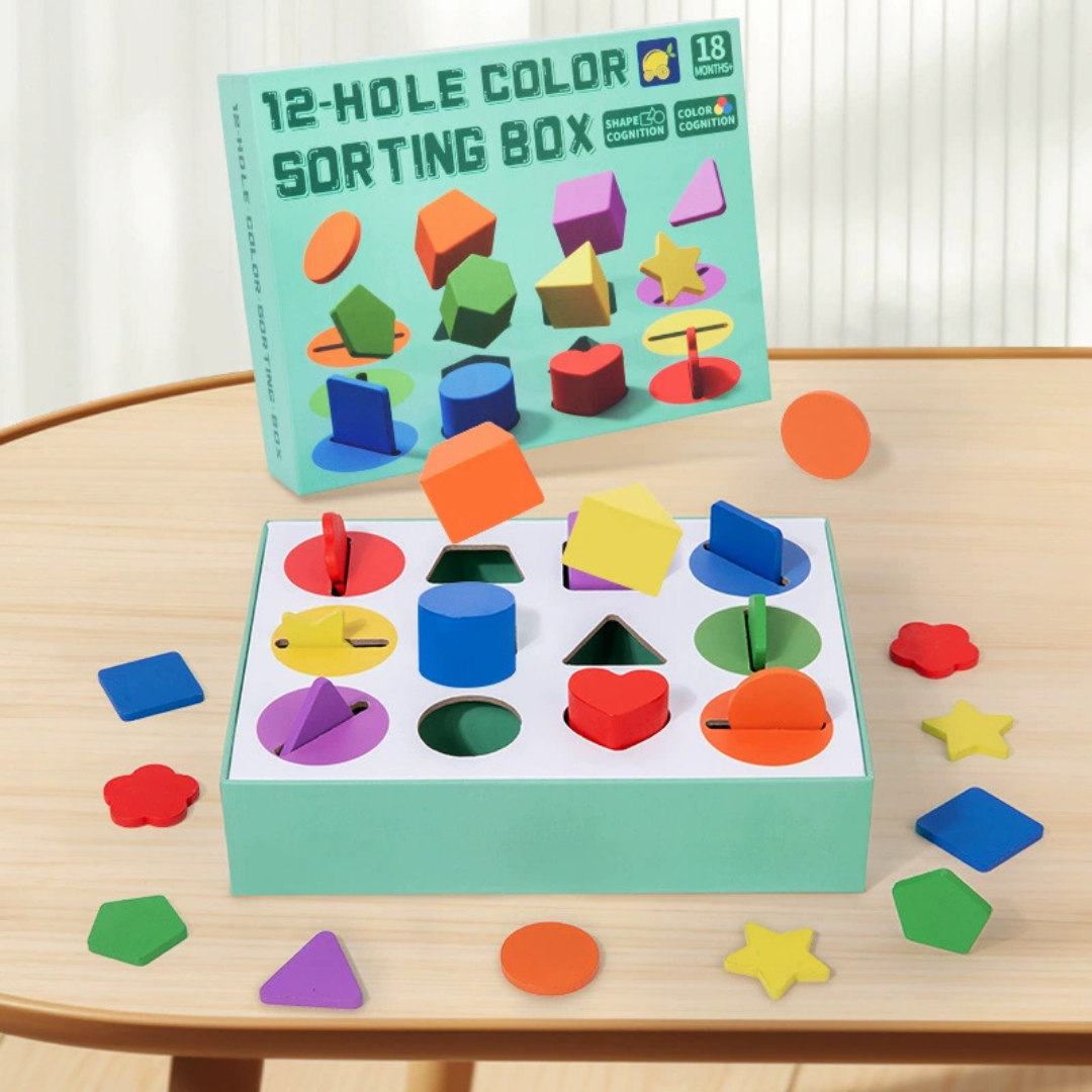 HOMERO Montessori Color Shape Classification Wooden Build Box Toy 10 Hole Set