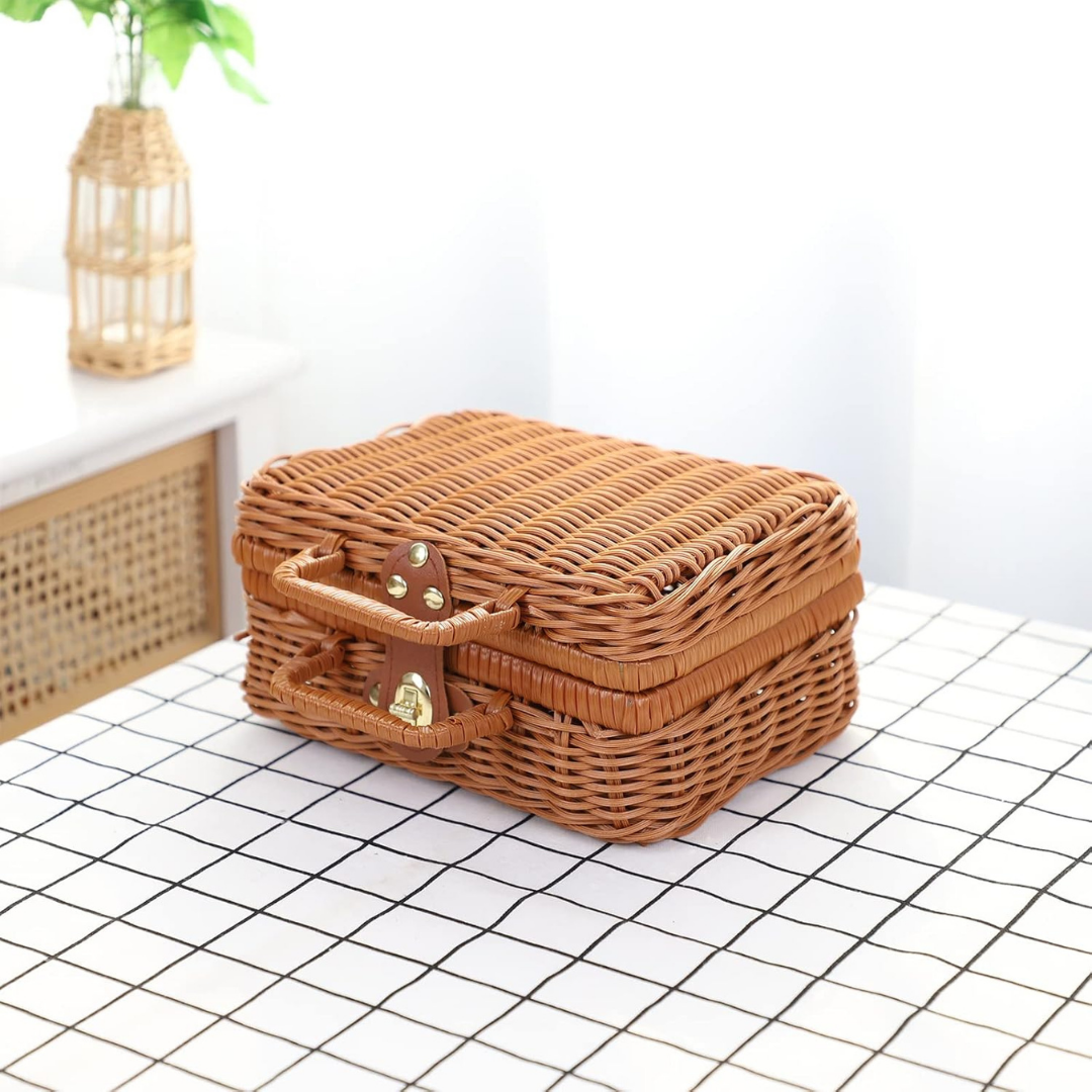 HOMERO Elegant Mini Rattan Travel Suitcase Stylish Carry Case