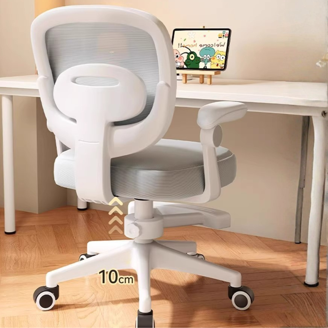Homero Mesh Comfort Adjustable Height Ergonomic Study Chair