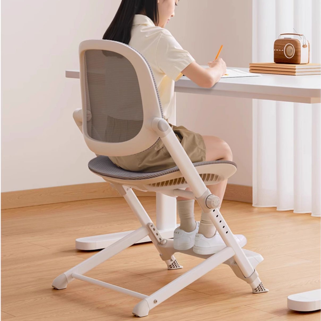 HOMERO Smart Growing Student Ergonomic Adjustable Breathable Mesh Comfort Chair