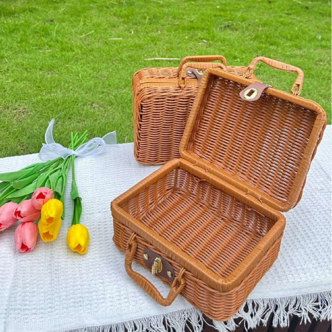HOMERO Elegant Mini Rattan Travel Suitcase Stylish Carry Case