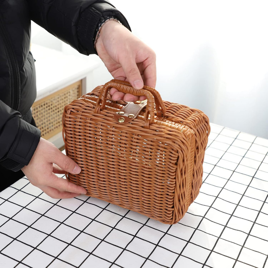 HOMERO Elegant Mini Rattan Travel Suitcase Stylish Carry Case