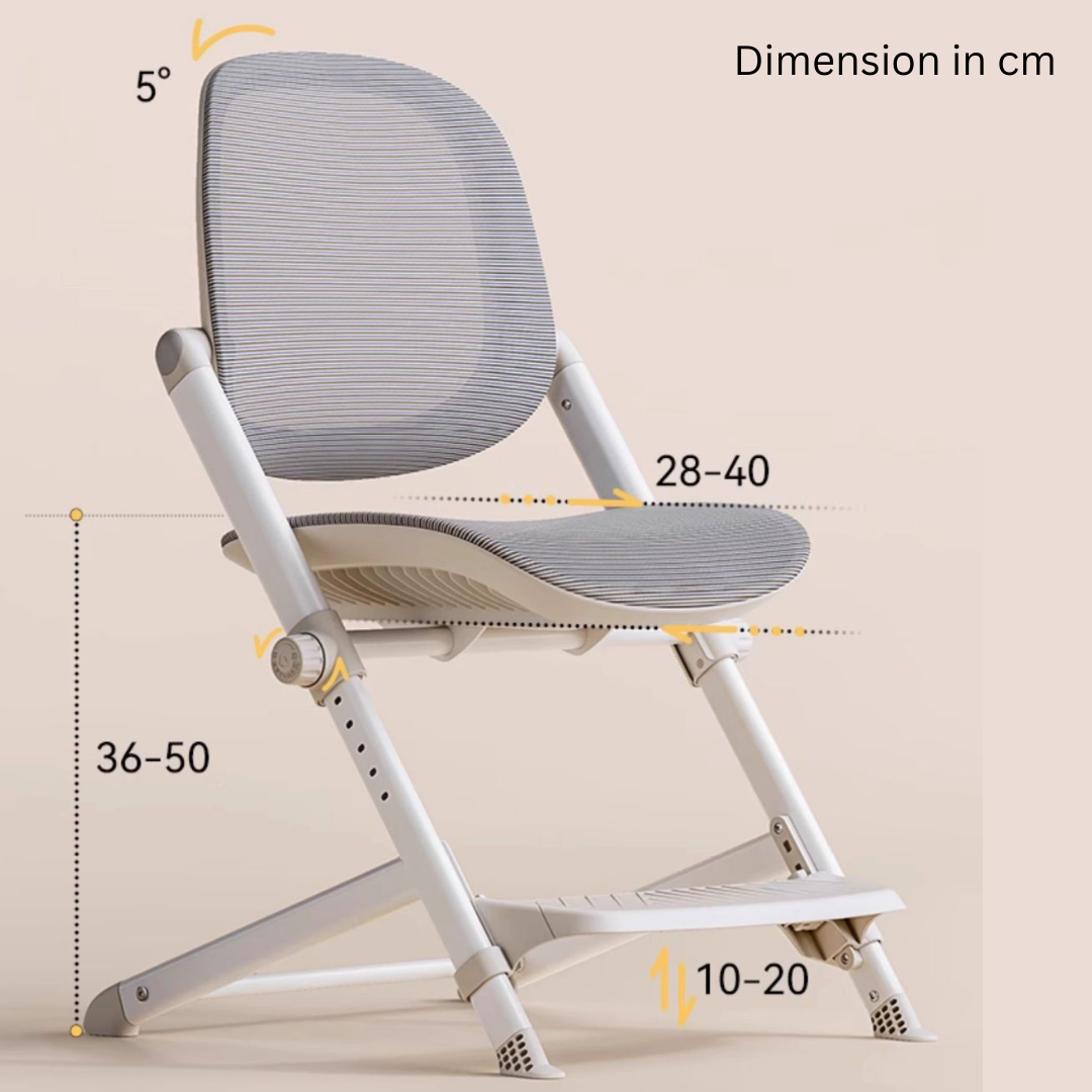 HOMERO Smart Growing Student Ergonomic Adjustable Breathable Mesh Comfort Chair