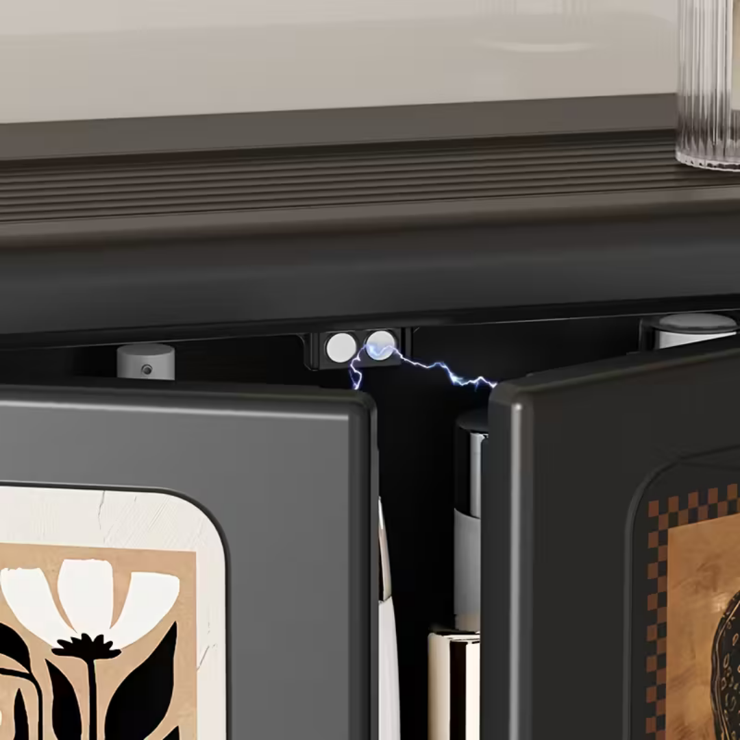 Homero Vintage Style Double Door Wall Mounted Storage Box with Hooks