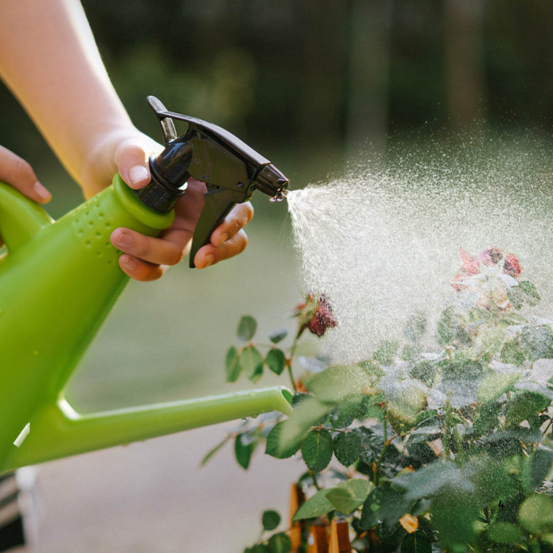 Durable Plastic Watering Can and Spray Bottle for Home Gardening
