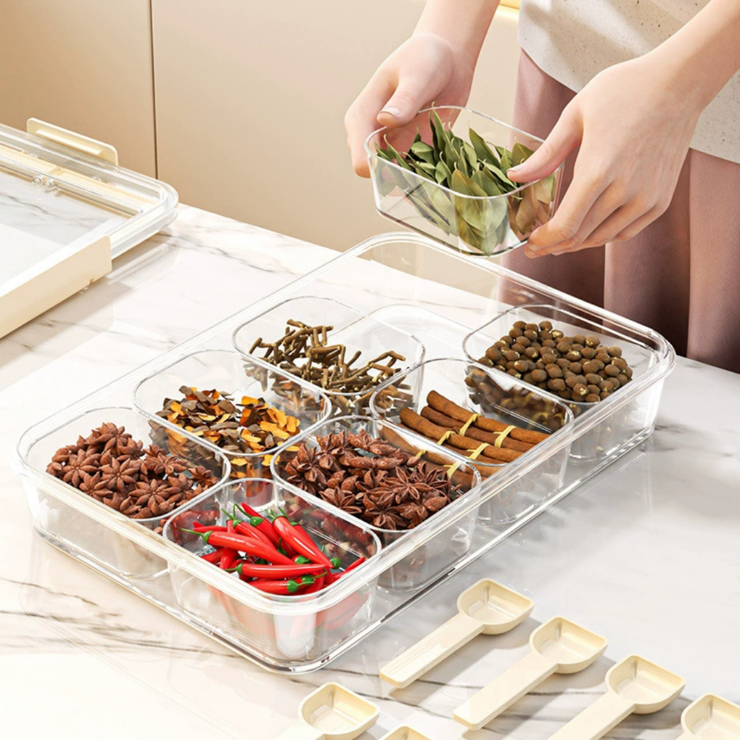 HOMERO Portable Multipurpose Divided Storage Container with Airtight & Moisture-Proof Lid