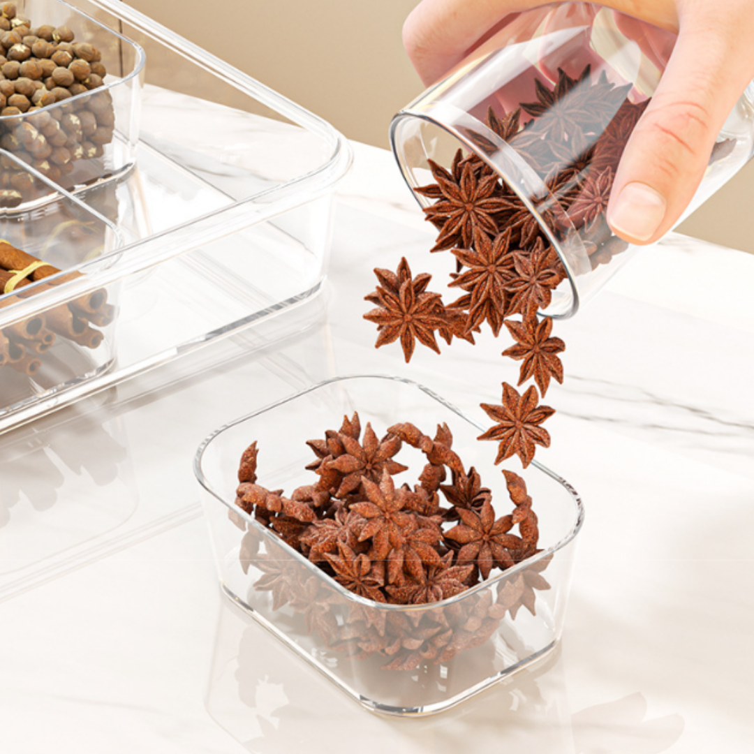 HOMERO Portable Multipurpose Divided Storage Container with Airtight & Moisture-Proof Lid