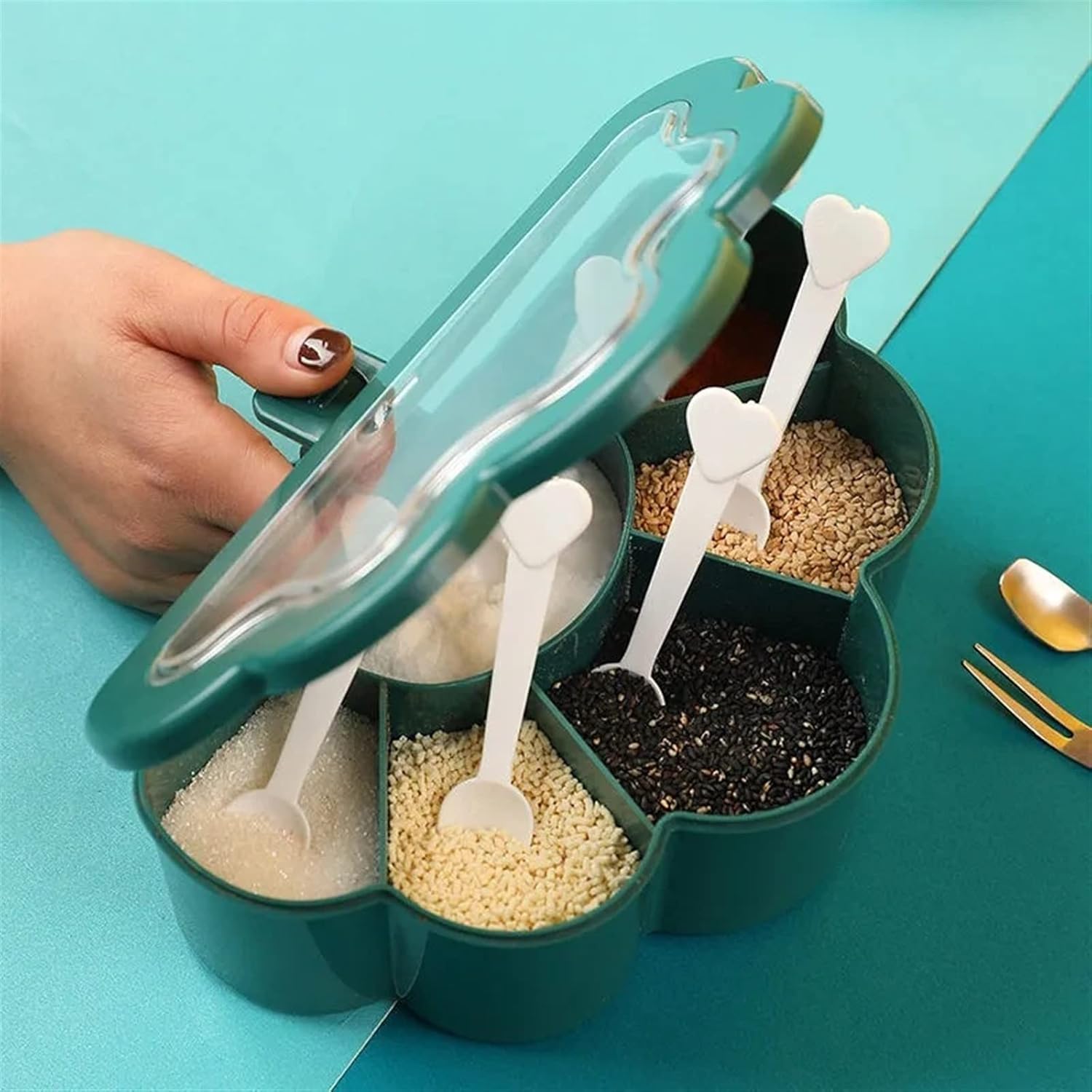 6 Compartment Spice Storage Box with Spoons Transparent Lid