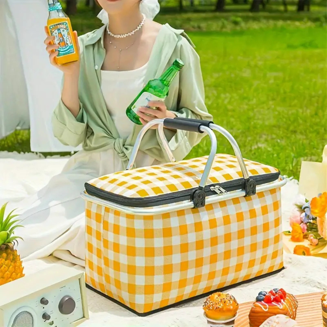 Homero Multi-Purpose Insulated Foldable Picnic Basket with Aluminum Frame