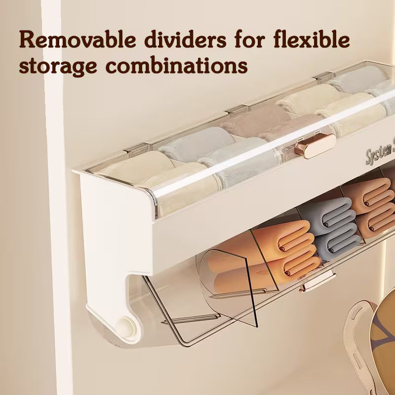 Wall Mounted Underwear and Socks Storage Organizer with Transparent Flip Lid