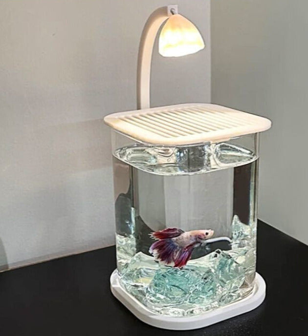 Homero Multi-Functional Ice Crystal Desktop Aquarium Setup with Lamp