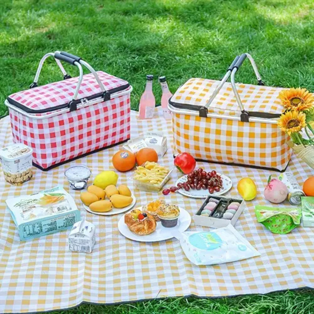 Homero Multi-Purpose Insulated Foldable Picnic Basket with Aluminum Frame