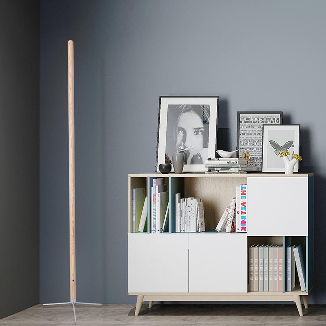 HOMERO Elegant LED Floor Remote Control Standing Dimmable Light