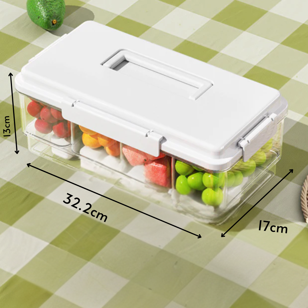 Homero Multi-Functional Portable Ice Cube Lunch Box with Sealed Compartments