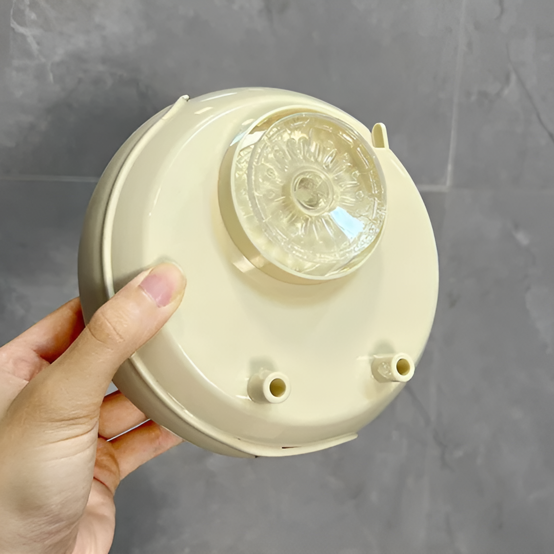 Cute Wall Suction Cup Mounted Kitchen Film Dispenser