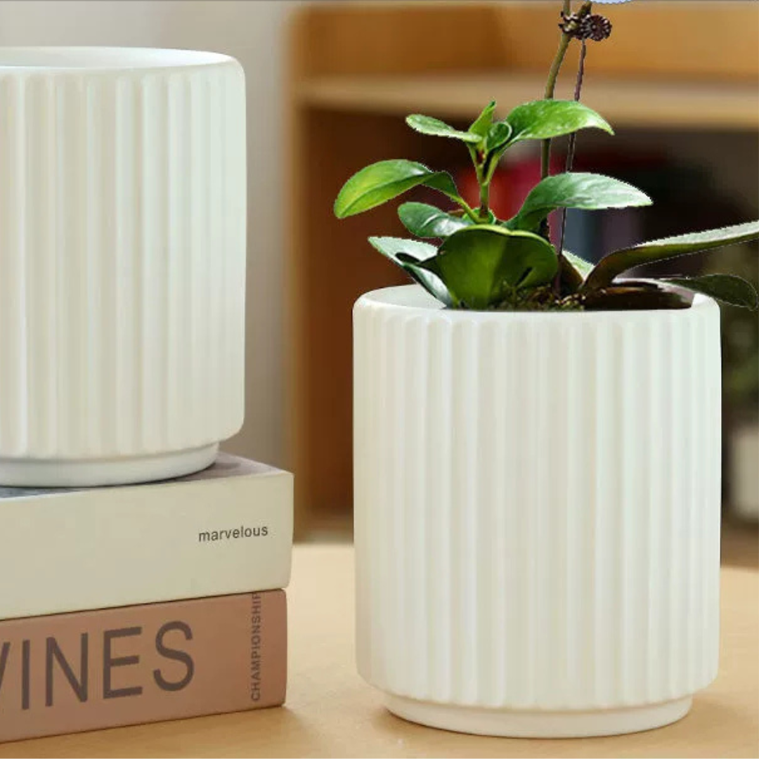 HOMERO Elegant Indoor Outdoor Ceramic Decorative Planter