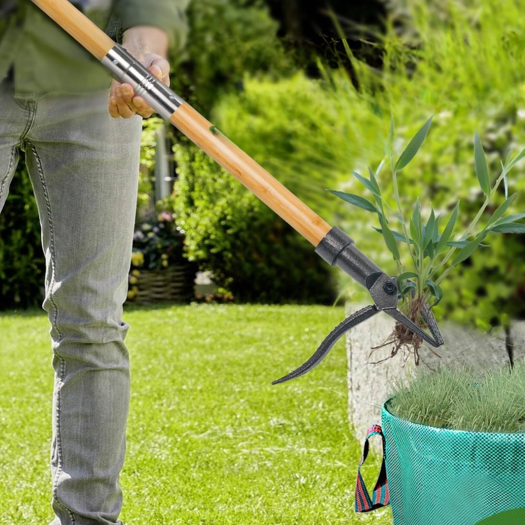 HOMERO Long Handle Steel Weeding Tool with Efficient 4-Claw Design