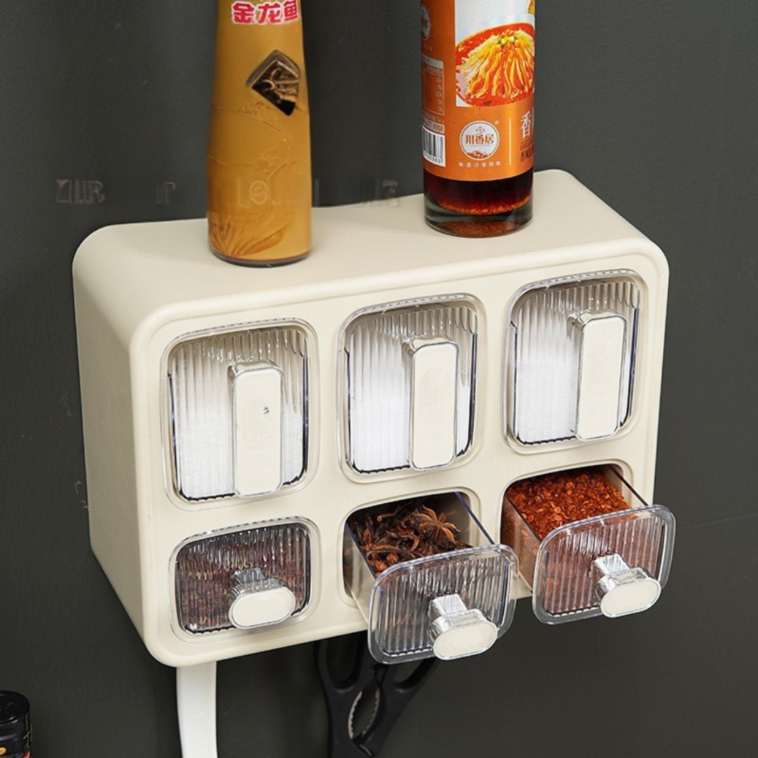 Six-Grid Multi-Purpose Seasoning Box with Measuring Spoon