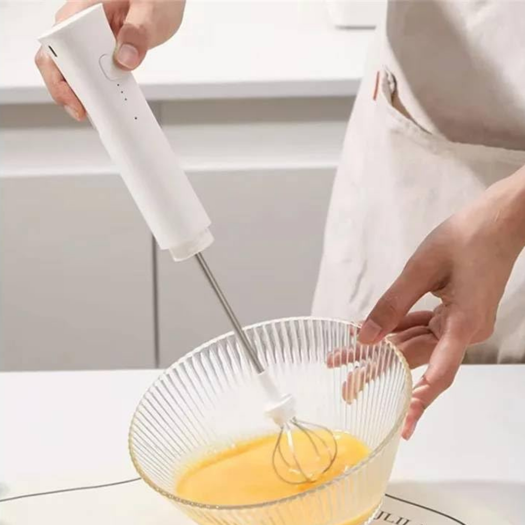 HOMERO Multi-Functional Rechargeable Multi Speed Electric Milk Frother and Stainless Steel Whisk