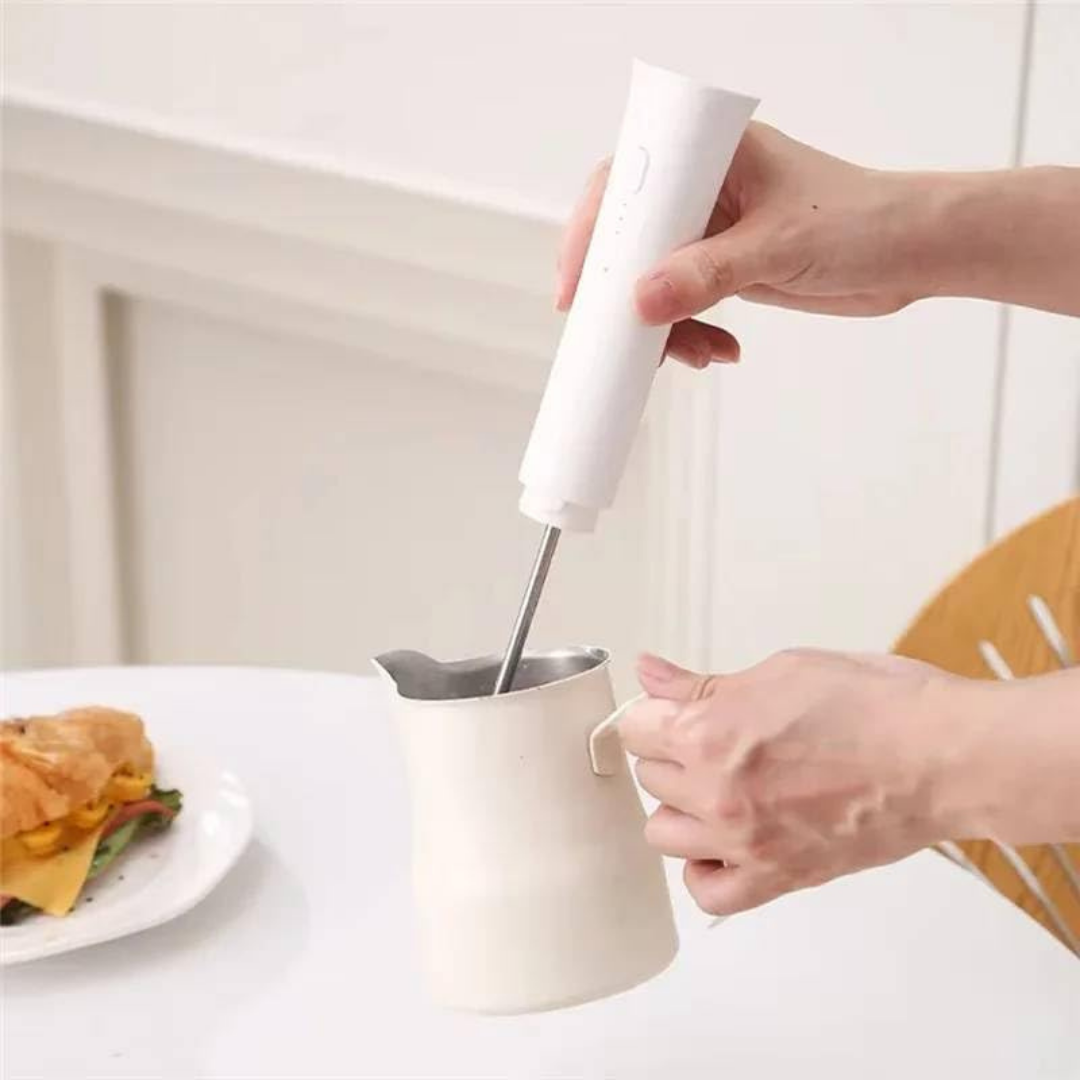 HOMERO Multi-Functional Rechargeable Multi Speed Electric Milk Frother and Stainless Steel Whisk