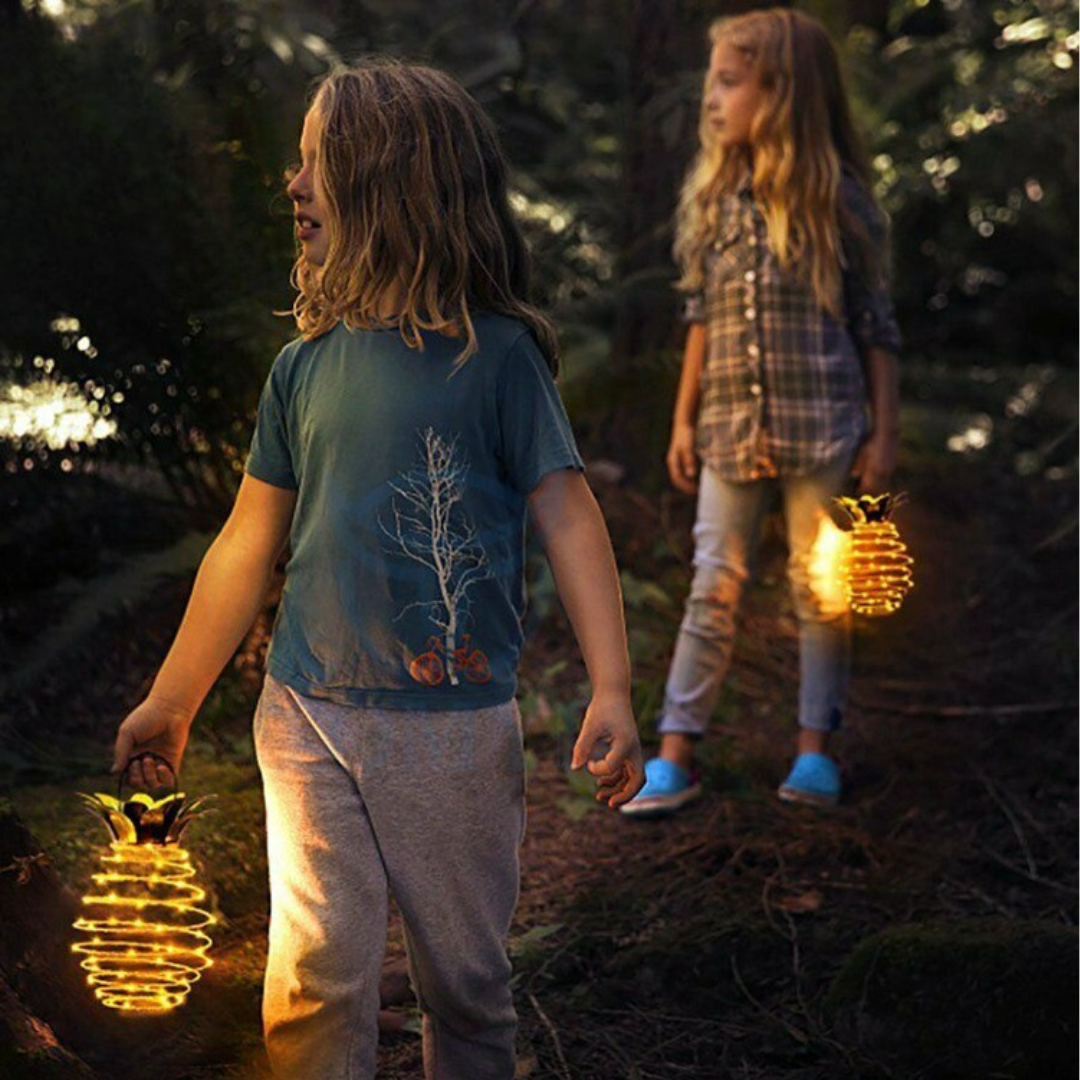 Homero Solar Pineapple Hanging Light – 60 LED Iron Body