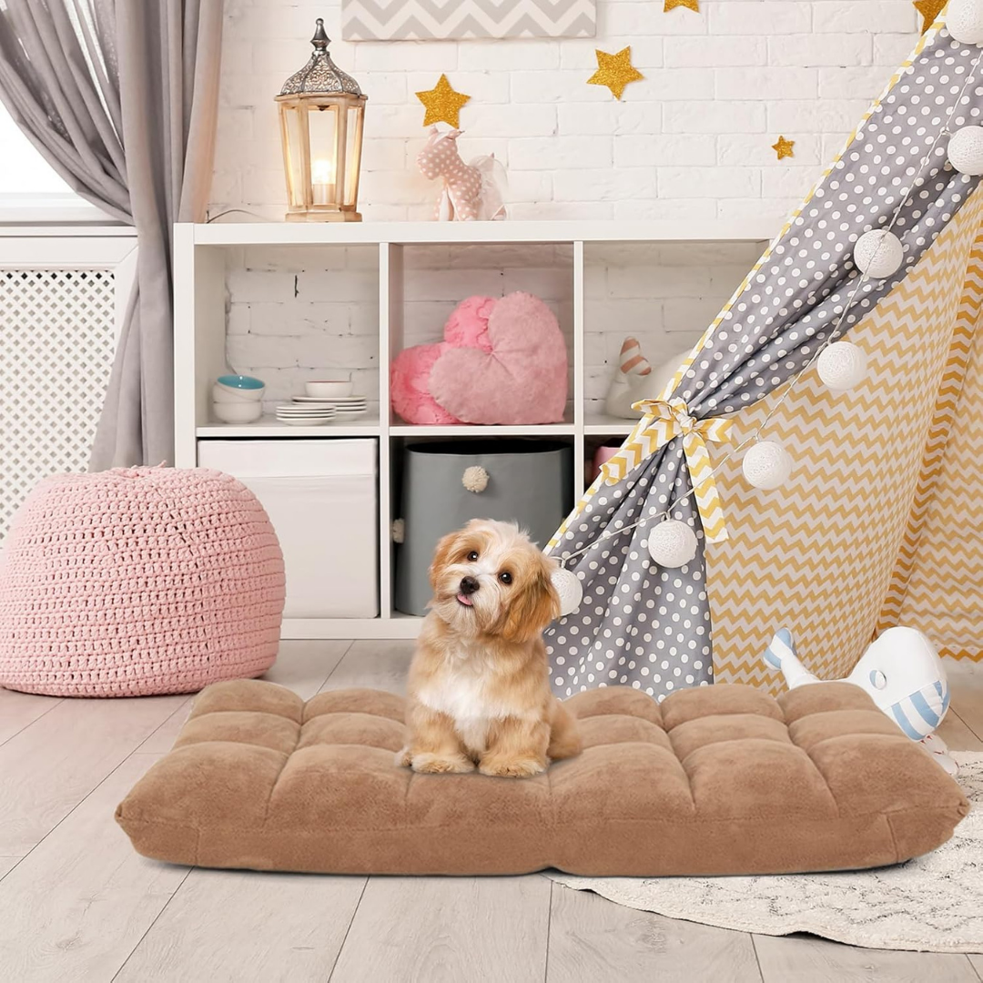 Homero Ultra Comfort Floor Adjustable Multi Angle Position Design Sofa Chair