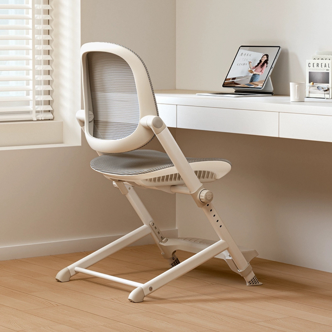 HOMERO Smart Growing Student Ergonomic Adjustable Breathable Mesh Comfort Chair