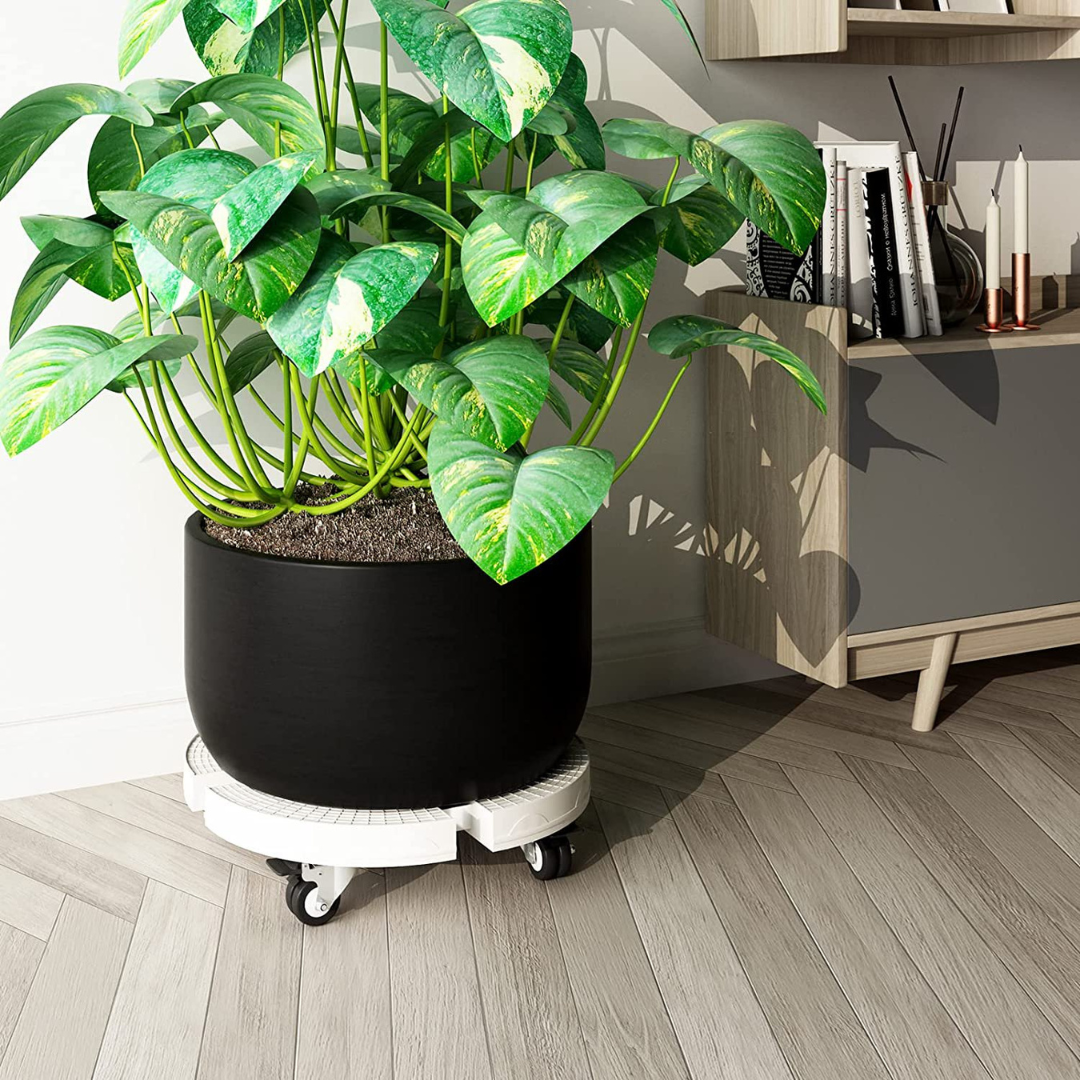 Heavy Duty Adjustable Plant Caddy with Lockable Wheels