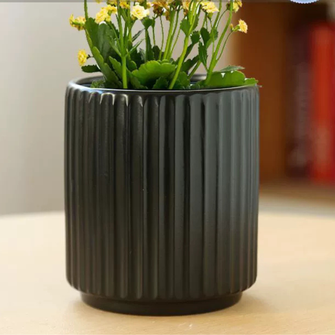 HOMERO Elegant Indoor Outdoor Ceramic Decorative Planter