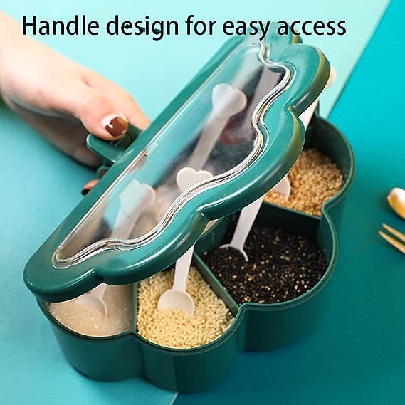 6 Compartment Spice Storage Box with Spoons Transparent Lid