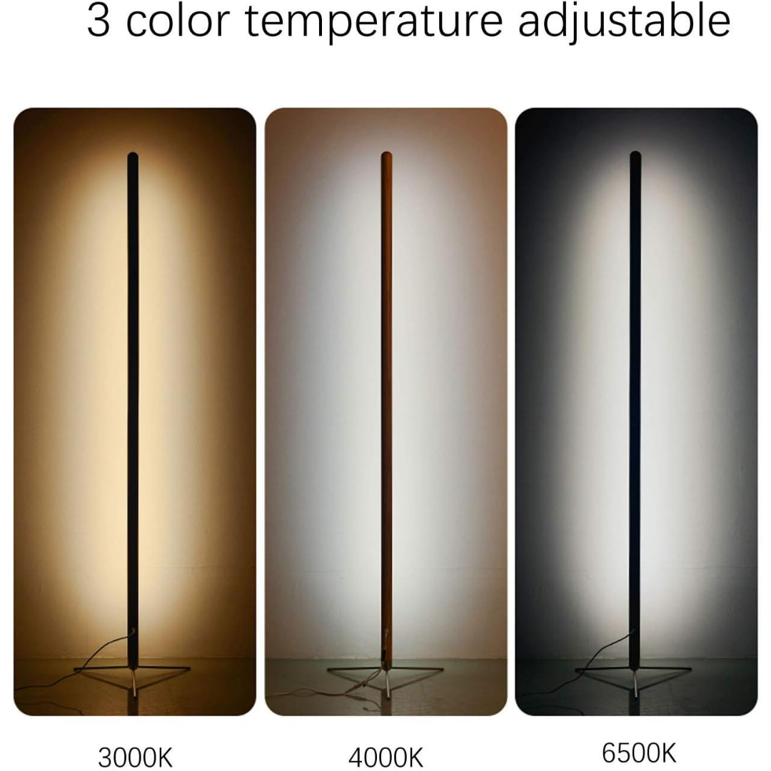 HOMERO Elegant LED Floor Remote Control Standing Dimmable Light