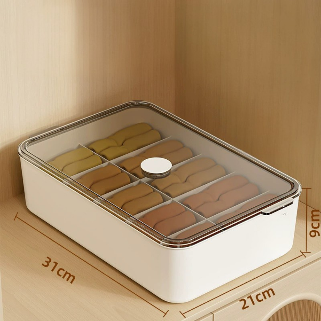 Smart Compartment Airtight Stackable Multipurpose Cloth Storage Organizer