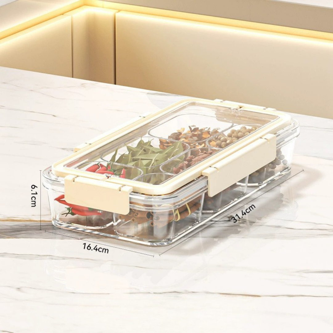 HOMERO Portable Multipurpose Divided Storage Container with Airtight & Moisture-Proof Lid