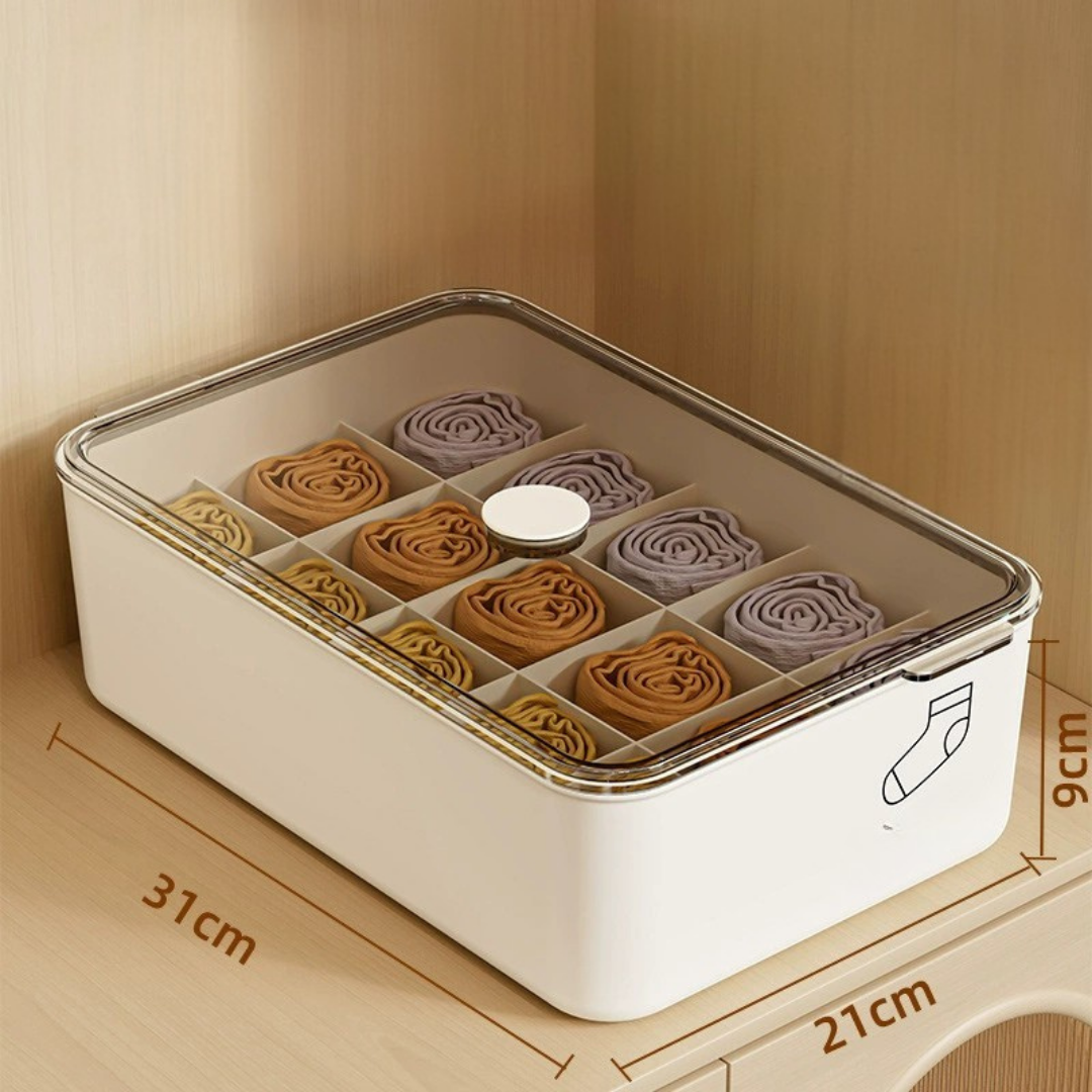 Smart Compartment Airtight Stackable Multipurpose Cloth Storage Organizer