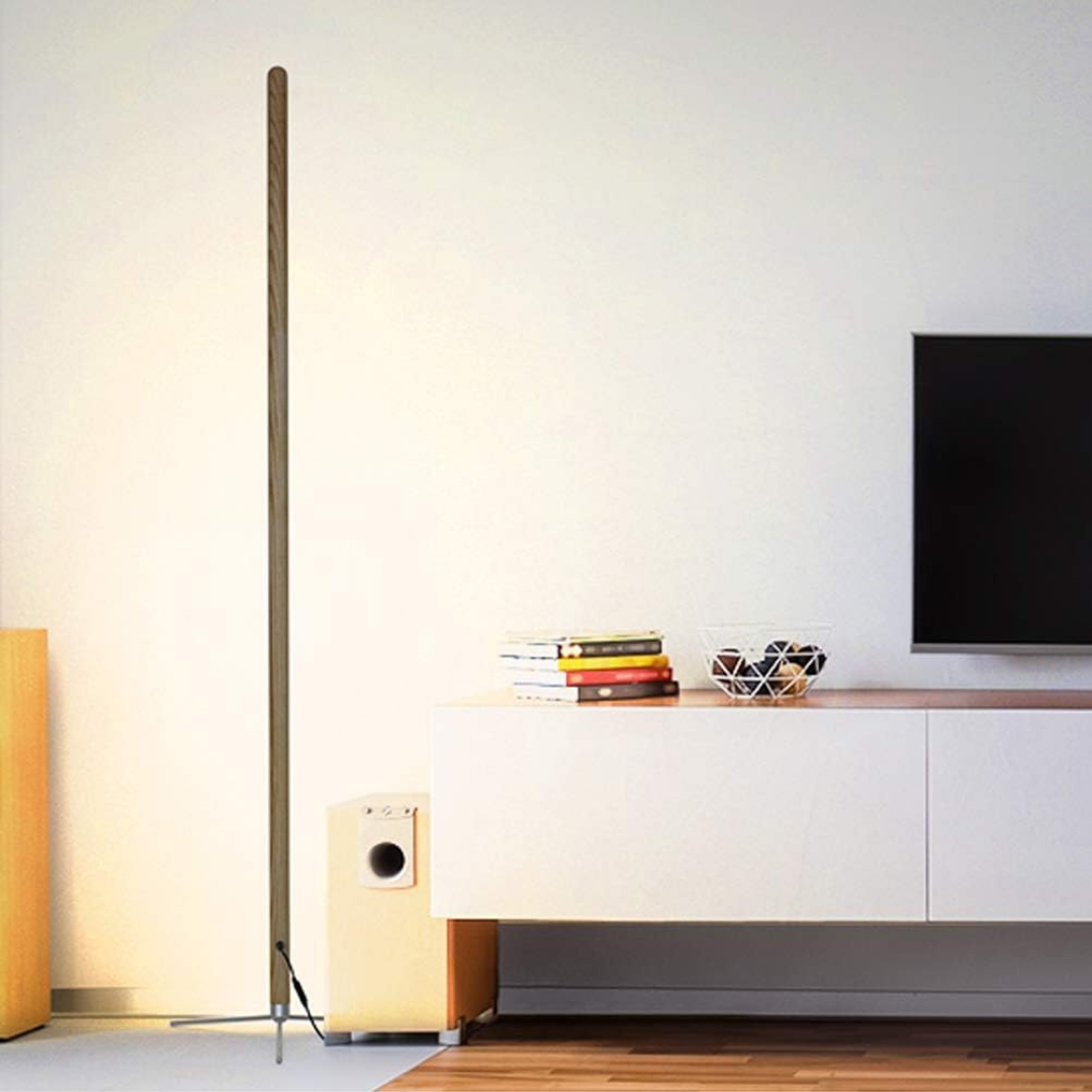 HOMERO Elegant LED Floor Remote Control Standing Dimmable Light