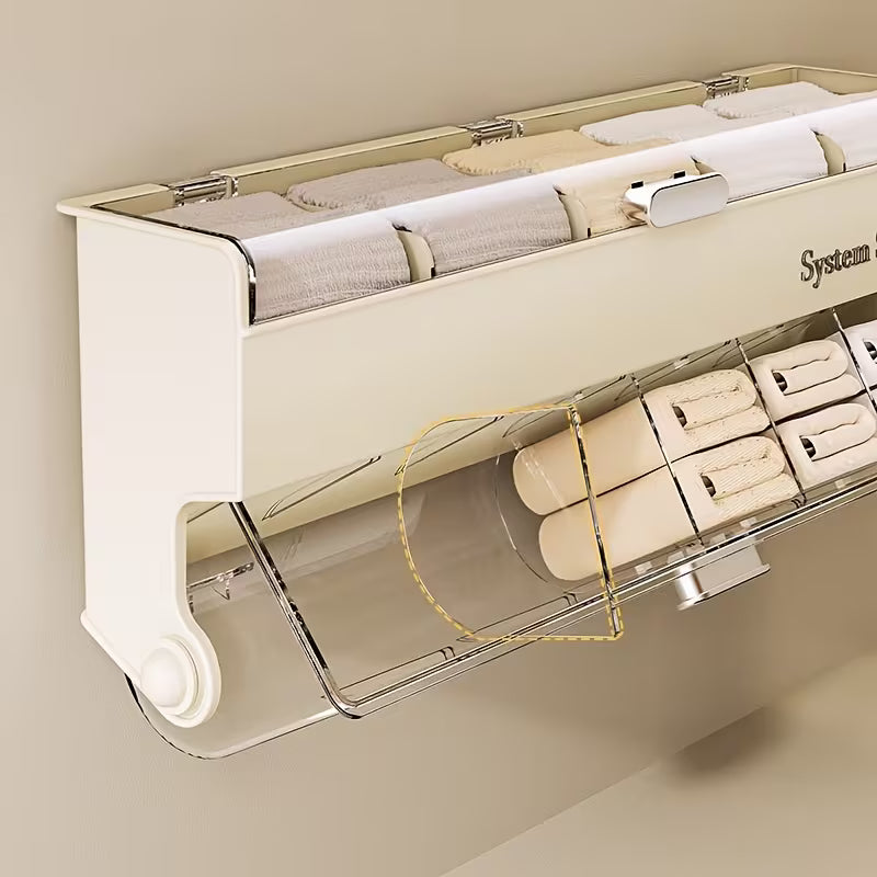 Wall Mounted Underwear and Socks Storage Organizer with Transparent Flip Lid